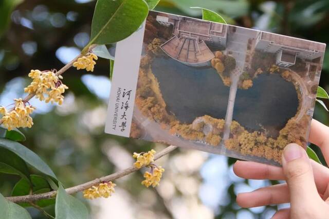 光影河海  几度秋意浓，最是桂花香