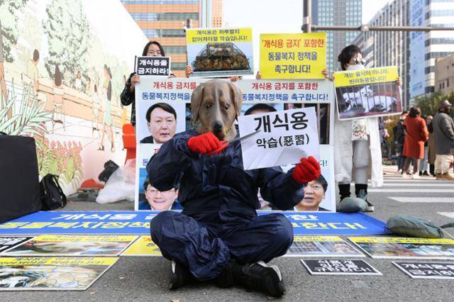 韩国总统候选人尹锡悦因一句“吃狗肉并非虐待动物” 被动保团体盯上了