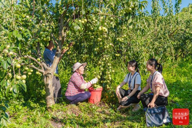 促进共同富裕政策落实落地