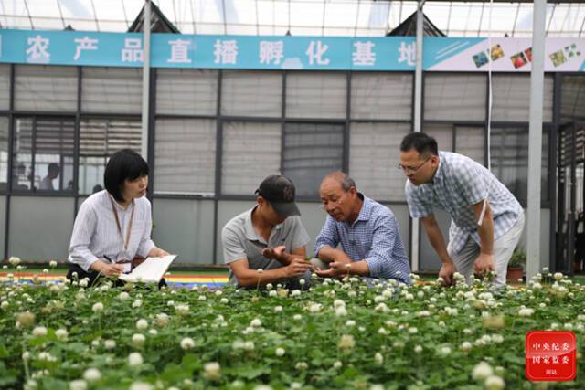 镜头  促进共同富裕政策落实落地