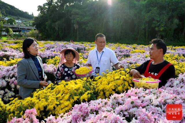 镜头  促进共同富裕政策落实落地