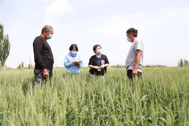 焉耆县纪委监委干部深入田间地头，走访了解村干部作风建设及“小微权力”运行等情况，深挖细查与群众息息相关的扶贫、教育、医疗、环境等方面存在的不正之风和“微腐败”问题。（王铮摄）