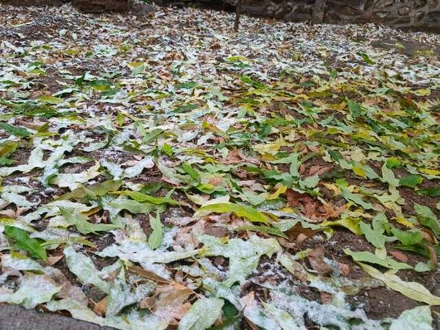 北京今冬第一场雪进山了！怀柔琉璃庙雪花飘洒而下