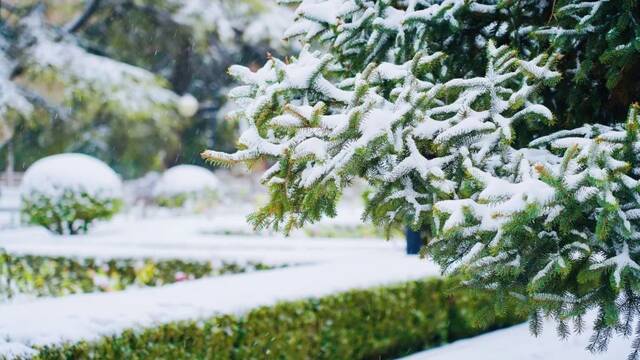 愿以三分初雪，勾勒百景清华