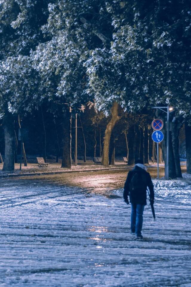 愿以三分初雪，勾勒百景清华