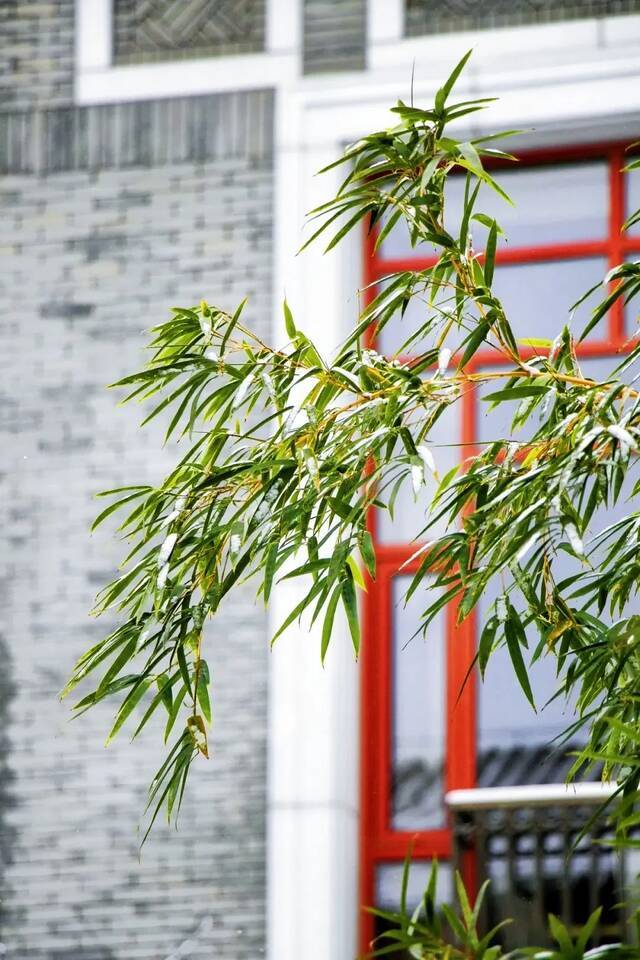 愿以三分初雪，勾勒百景清华