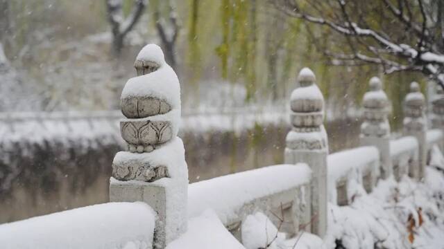 愿以三分初雪，勾勒百景清华