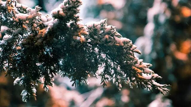 愿以三分初雪，勾勒百景清华