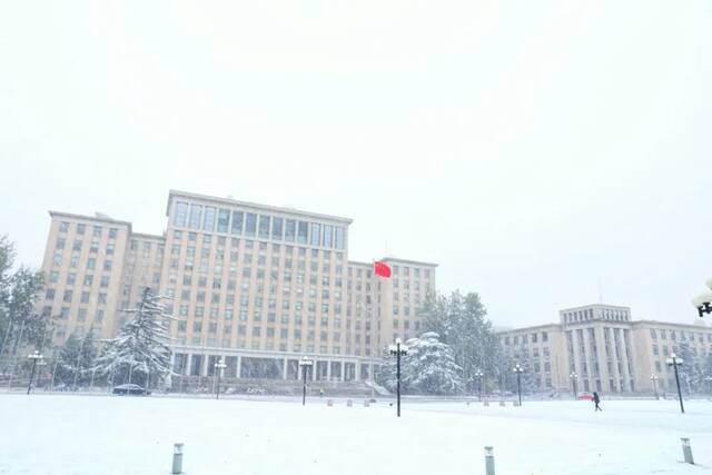 愿以三分初雪，勾勒百景清华