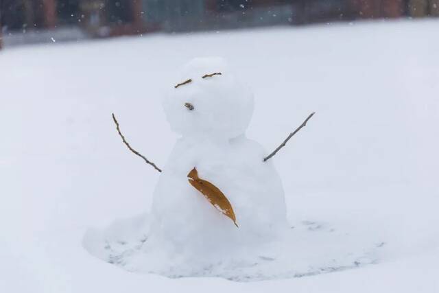 愿以三分初雪，勾勒百景清华