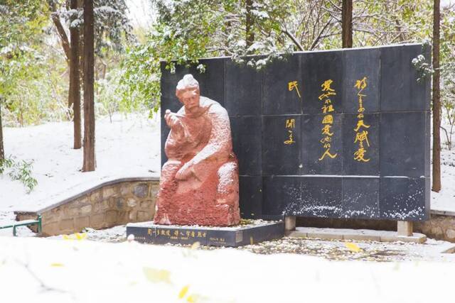 愿以三分初雪，勾勒百景清华