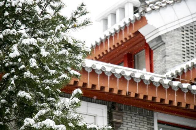 愿以三分初雪，勾勒百景清华