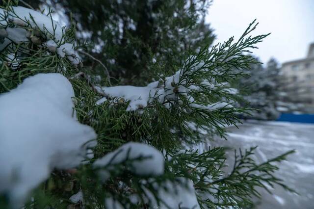 惊艳！北科的初雪！