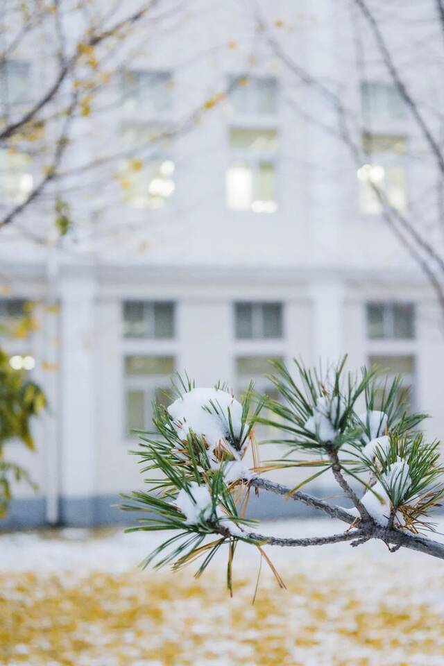 惊艳！北科的初雪！