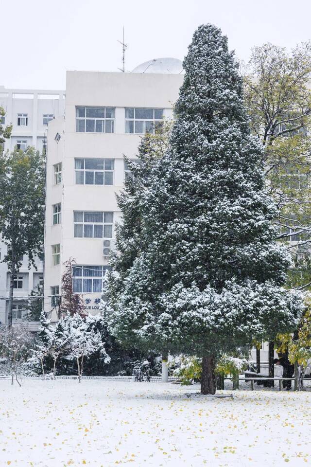 惊艳！北科的初雪！