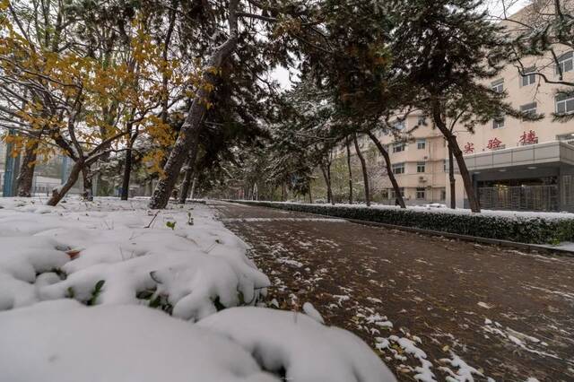 惊艳！北科的初雪！