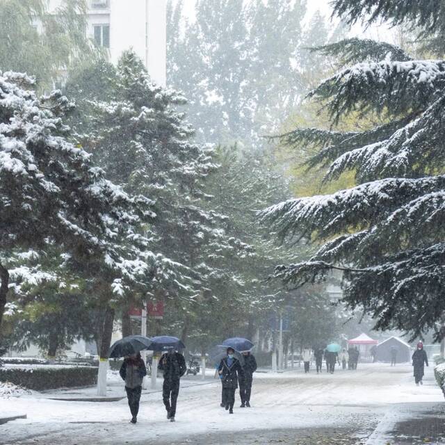 惊艳！北科的初雪！