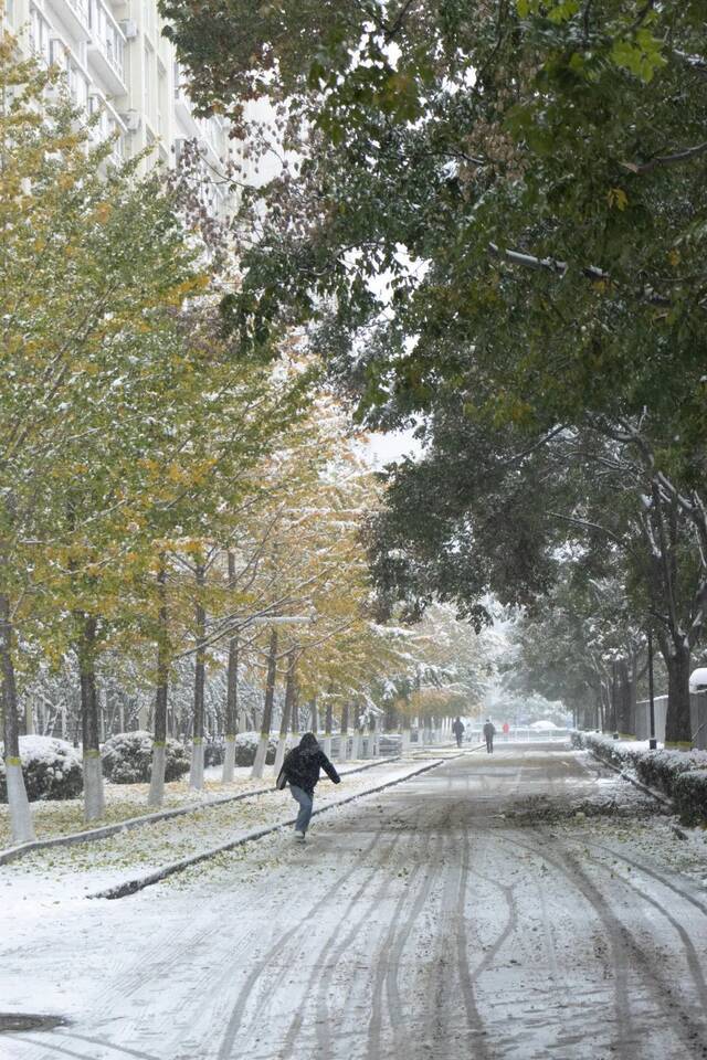 惊艳！北科的初雪！