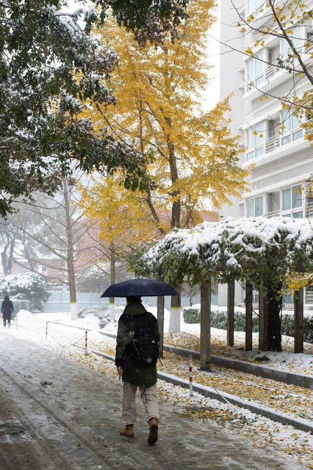 惊艳！北科的初雪！