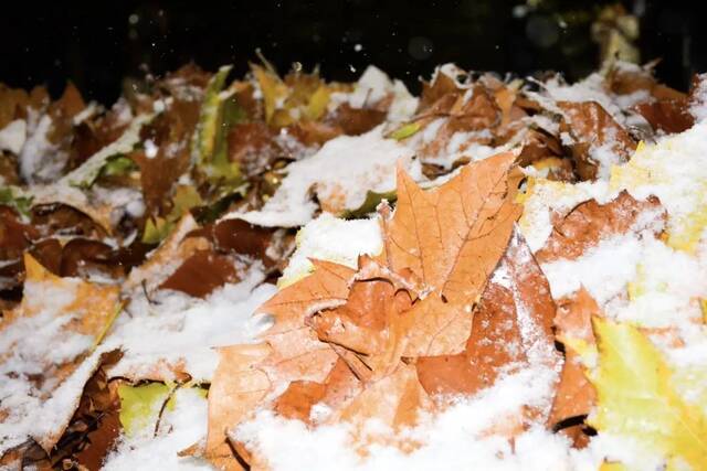 初雪，你想与谁分享感动？