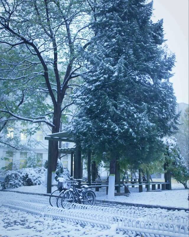 惊艳！北科的初雪！