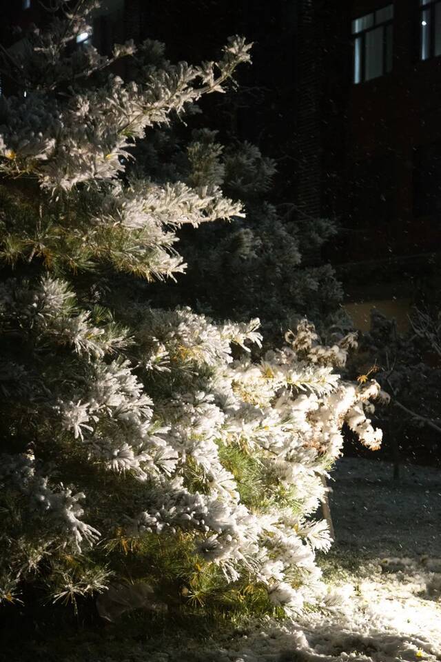 初雪，你想与谁分享感动？