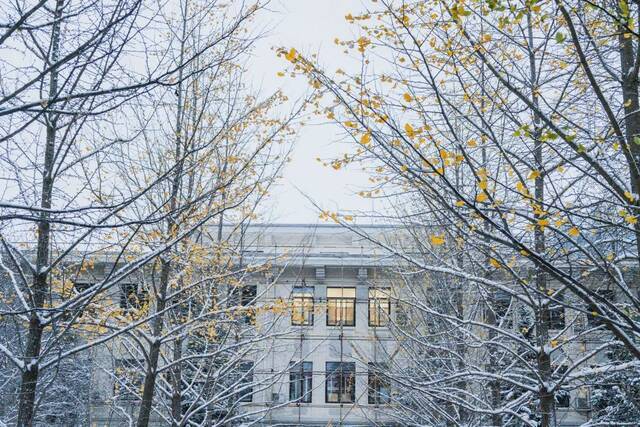 惊艳！北科的初雪！