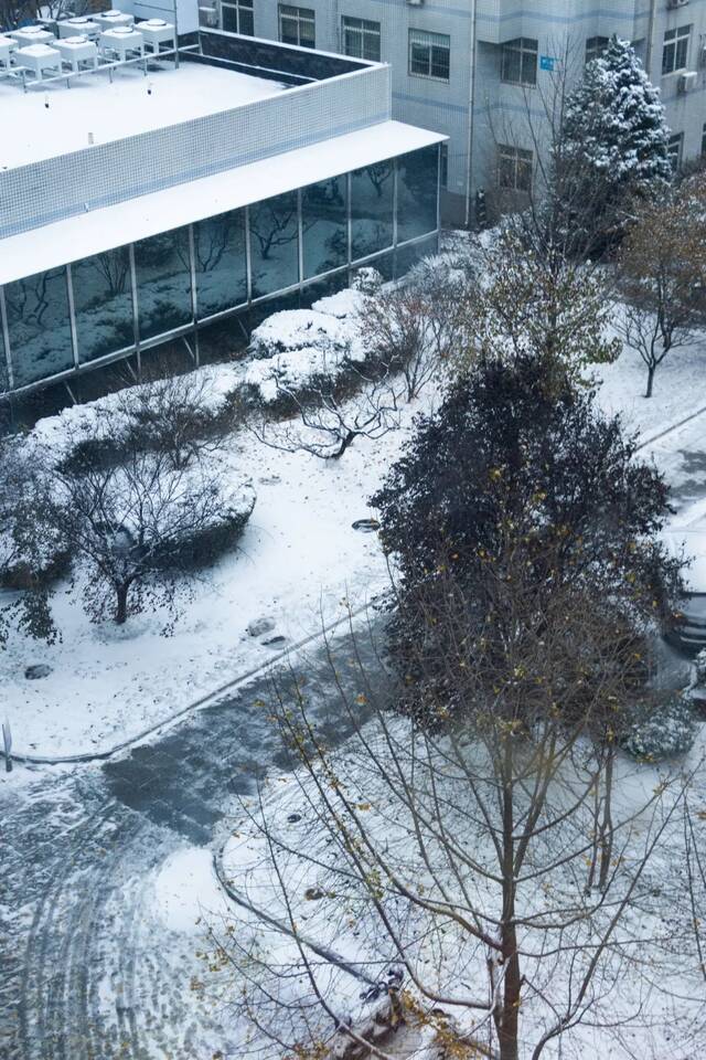 这个生日，初雪相庆