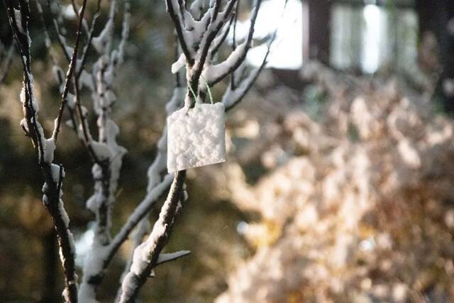 初雪，你想与谁分享感动？