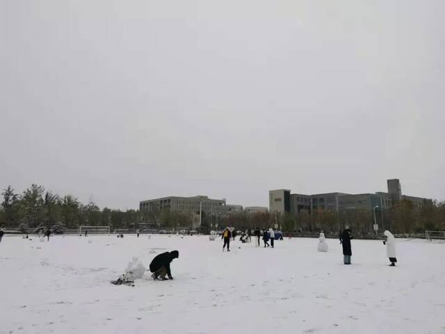 立冬 超级美！北理工喊你看初雪啦！