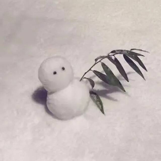 立冬 超级美！北理工喊你看初雪啦！