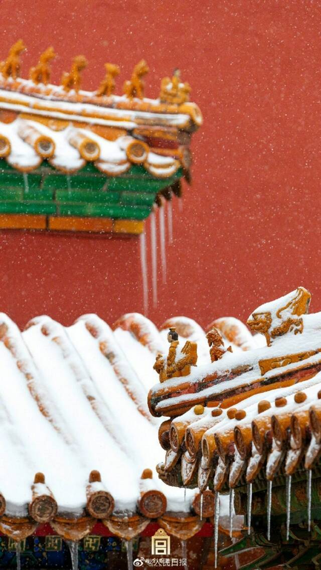 今日故宫，琉璃、雪片、冰溜子，都亮晶晶。2021年故宫初雪壁纸！（图/故宫博物院）