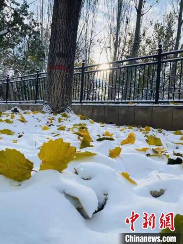 山西发布暴雪橙色预警，多地迎来今冬第一场雪。网友供图