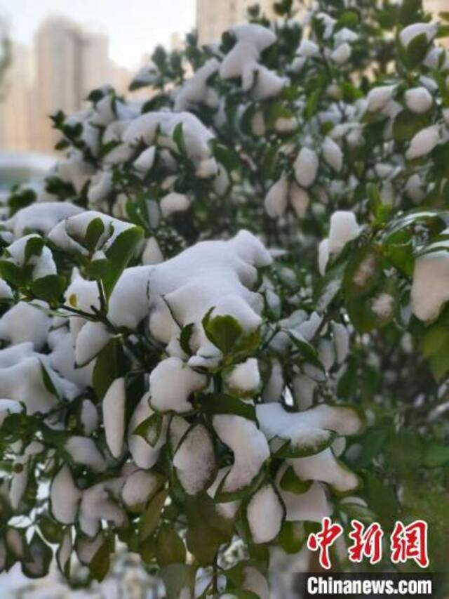 山西发布暴雪橙色预警 部分地区积雪深度达25厘米