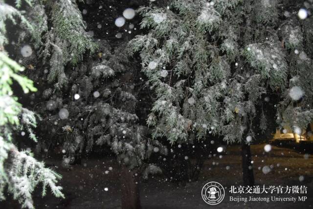 初雪交大！美极了，暖极了！