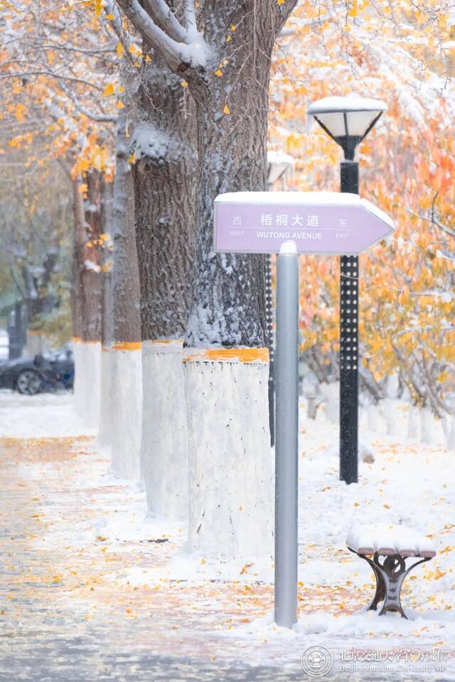 初雪交大！美极了，暖极了！