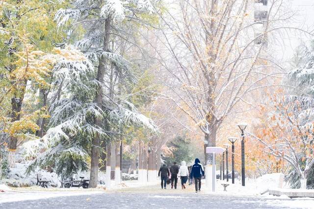 初雪交大！美极了，暖极了！