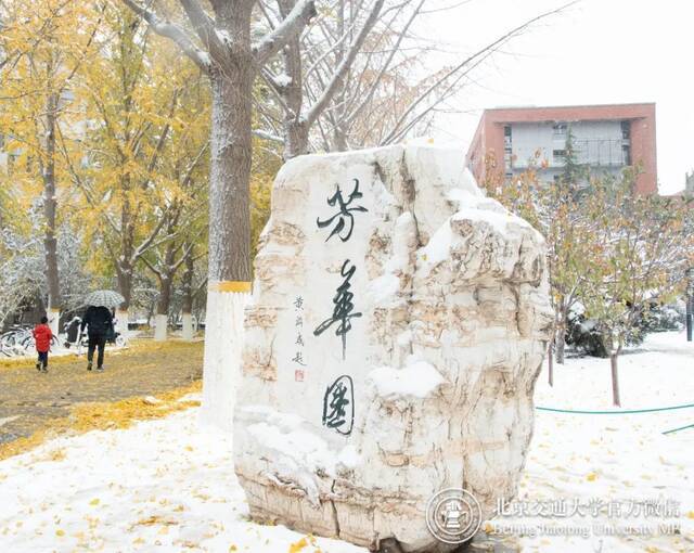 初雪交大！美极了，暖极了！