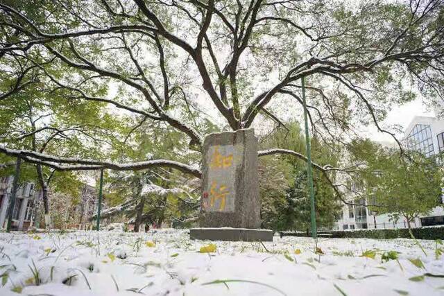 初雪交大！美极了，暖极了！