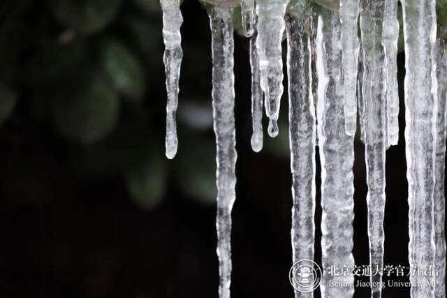 初雪交大！美极了，暖极了！