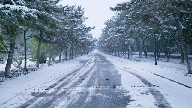 立冬初雪至，中传美如画