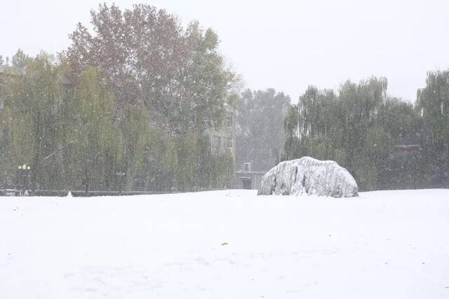 立冬初雪至，中传美如画