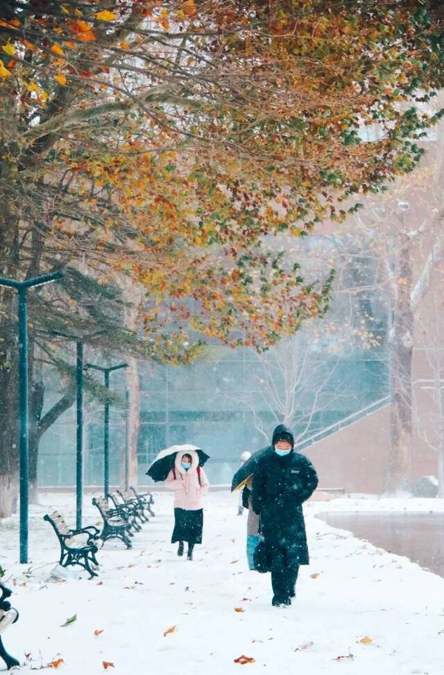 立冬初雪至，中传美如画