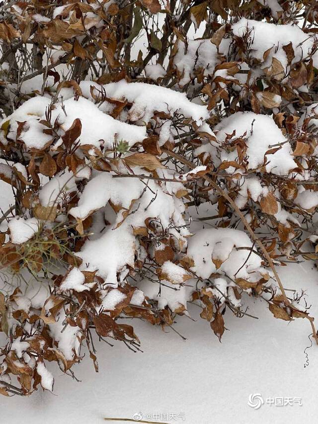 北京延庆大雪堵门 部分地区积雪深达半米