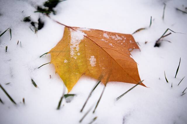 杏林初雪，在北中医与第一场雪相遇