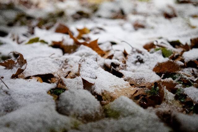 杏林初雪，在北中医与第一场雪相遇