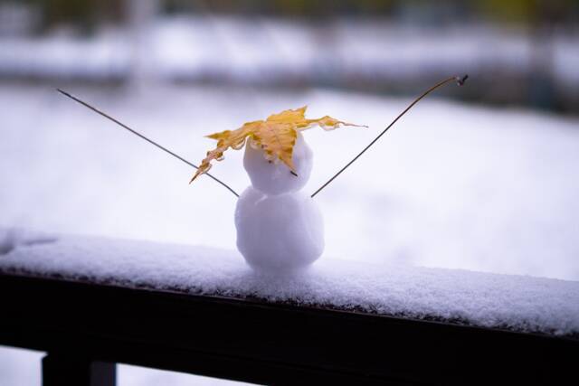 杏林初雪，在北中医与第一场雪相遇