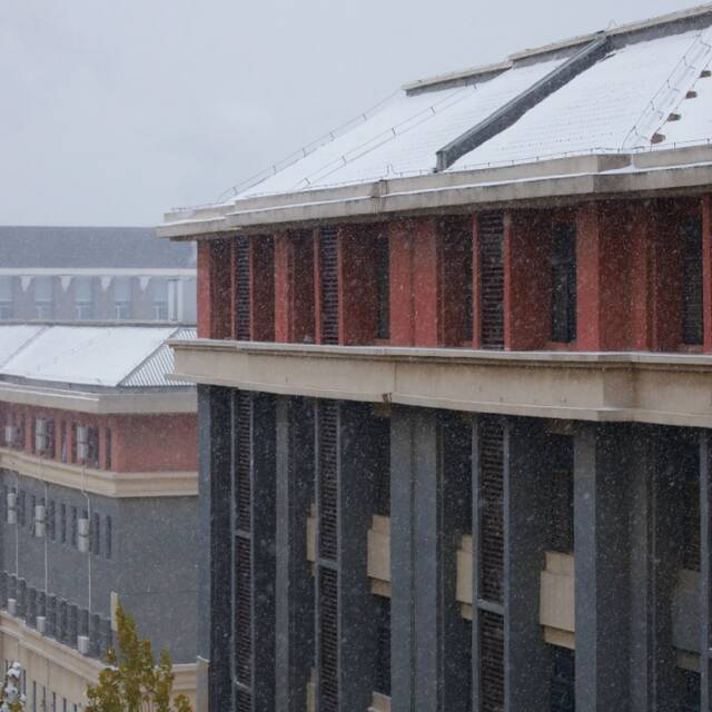 杏林初雪，在北中医与第一场雪相遇