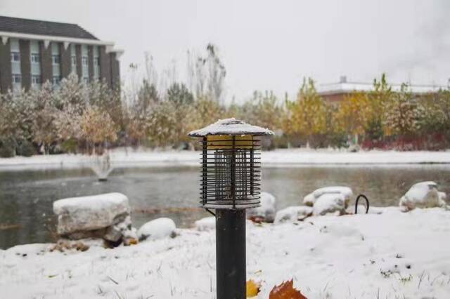 杏林初雪，在北中医与第一场雪相遇