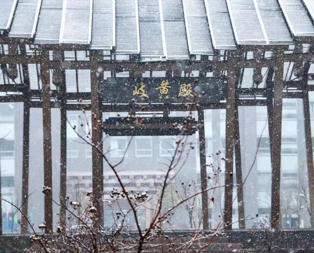 杏林初雪，在北中医与第一场雪相遇